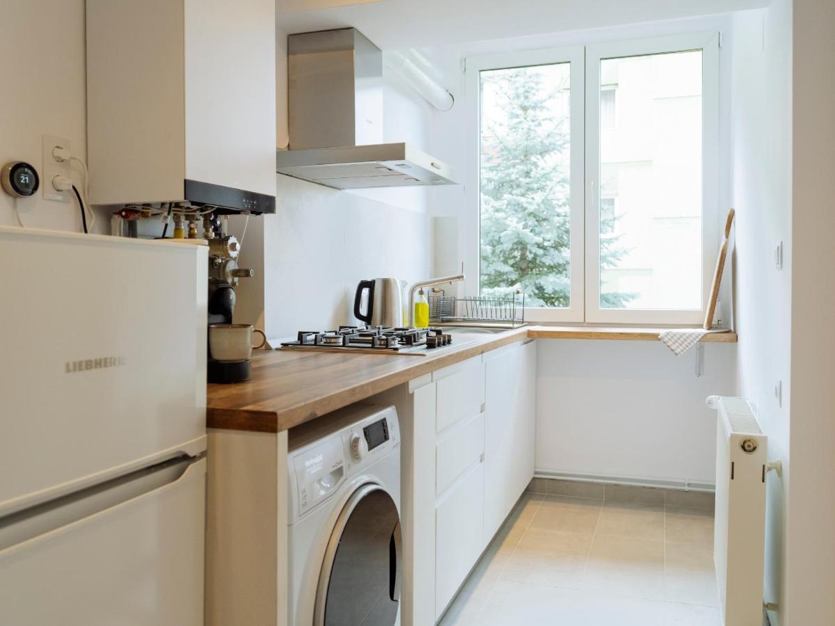 Cozy Central Apartment Near The Forest Braşov Eksteriør bilde