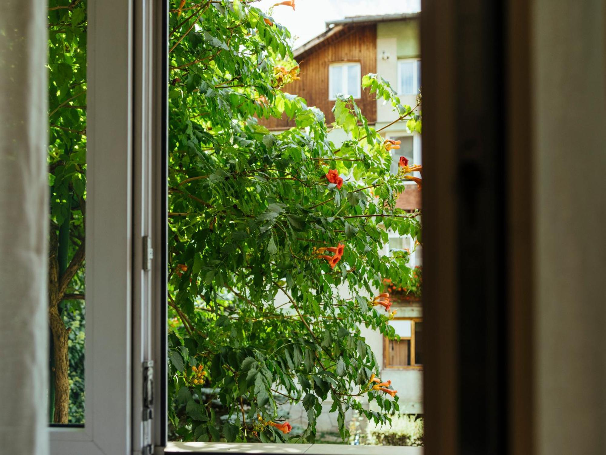 Cozy Central Apartment Near The Forest Braşov Eksteriør bilde