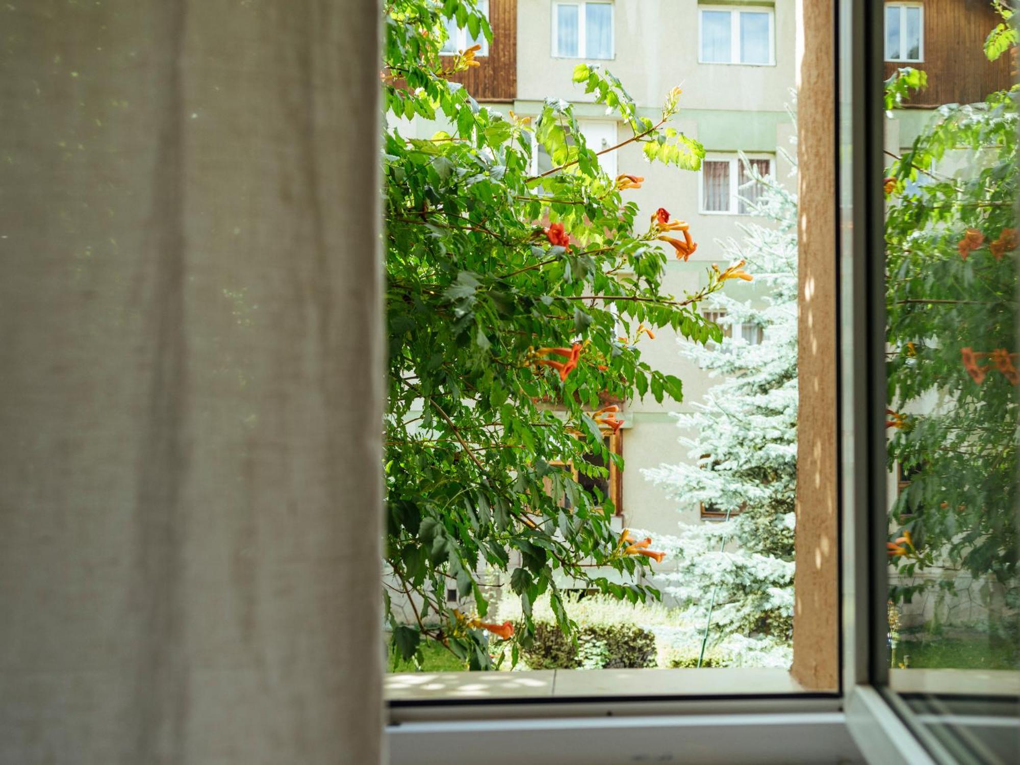 Cozy Central Apartment Near The Forest Braşov Eksteriør bilde