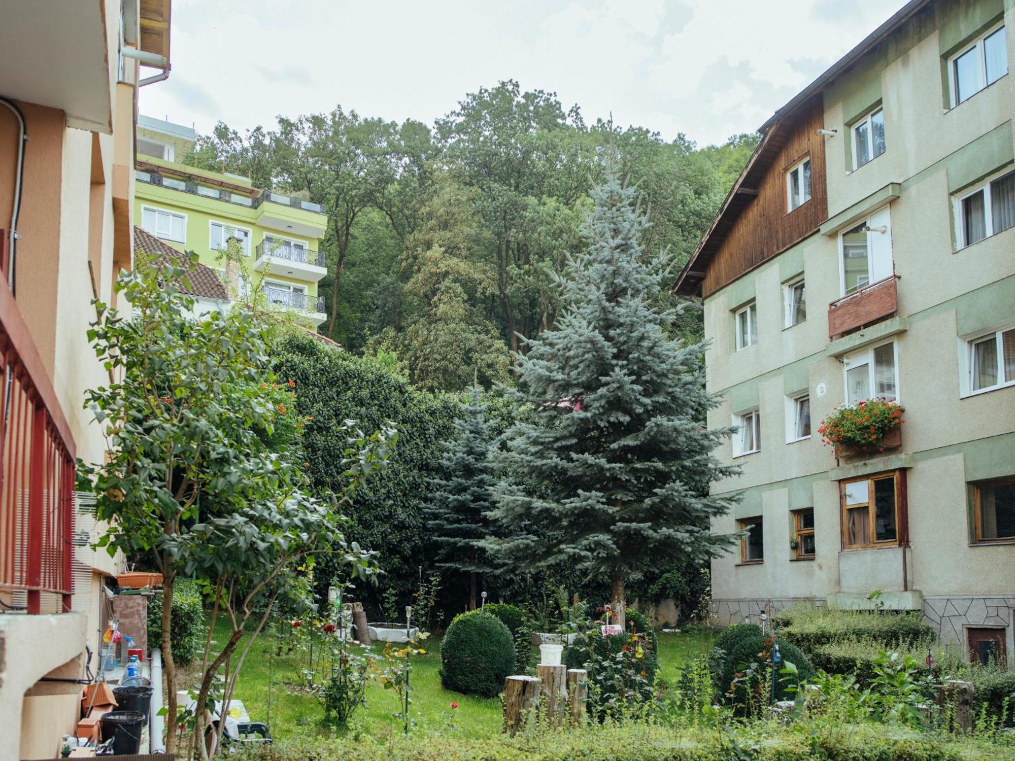 Cozy Central Apartment Near The Forest Braşov Eksteriør bilde